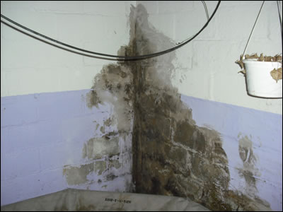 Najčešći problem na zidnim površinama podruma predstavljaju mrlje od vlage i plijesni